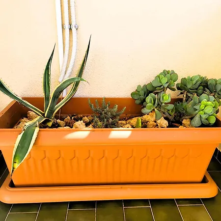 Miami De Portugal 公寓 *