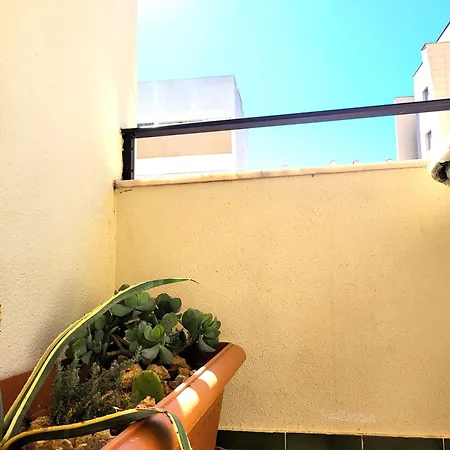 Miami De Portugal Apartment